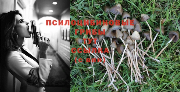 герыч Кодинск