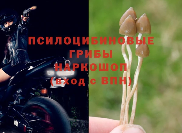 гашишное масло Козловка