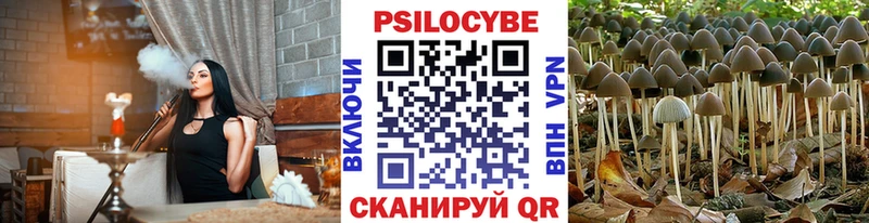 гидра ССЫЛКА  Миллерово  Псилоцибиновые грибы MAGIC MUSHROOMS 