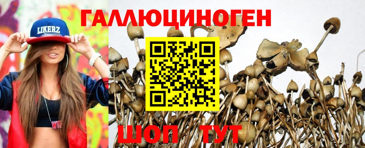А ПВП СК кристаллы  ГАШ  ГАШИШ  Каннабис  Вход с VPN  МЕФ   Миллерово  КОКАИН 